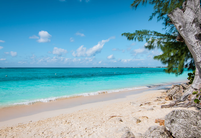 A Beach All TO Yourself