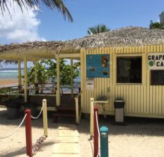 Grape Tree Cafe