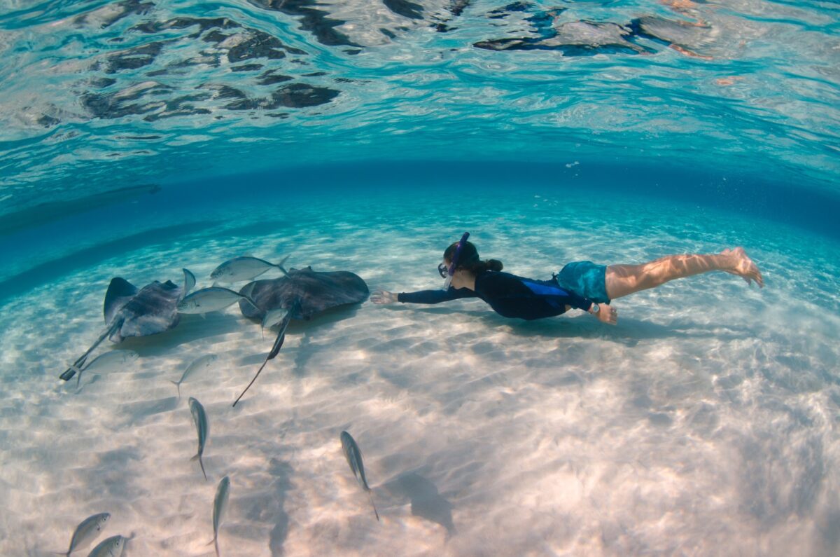 Reef and Rays- North Side