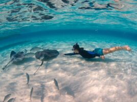 Reef and Rays- North Side