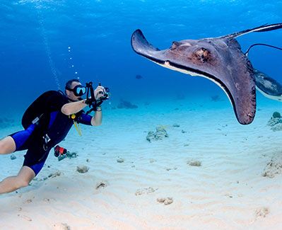 Tours & Excursions