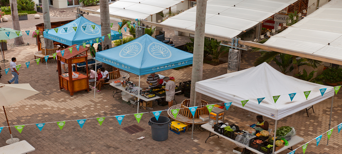 Shopping Stalls